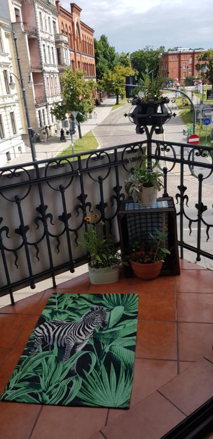 Astronomiczny Apartament , Mieszkanie 2 Pokojowe. Parking. Stary Toruń Dış mekan fotoğraf