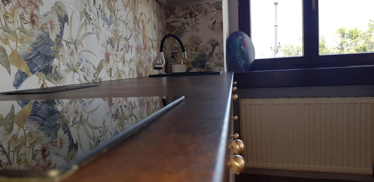Astronomiczny Apartament , Mieszkanie 2 Pokojowe. Parking. Stary Toruń Dış mekan fotoğraf
